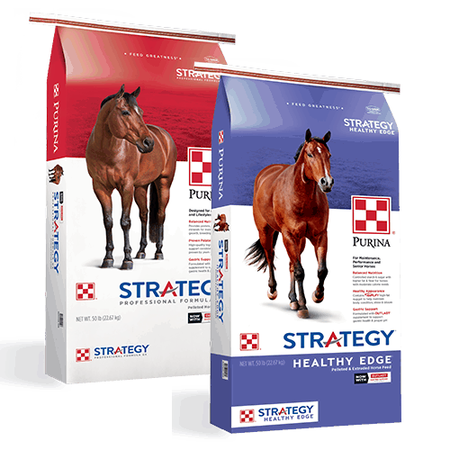 Purina Strategy GX - Feed And Bedding